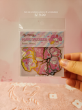 Set de stickers plano